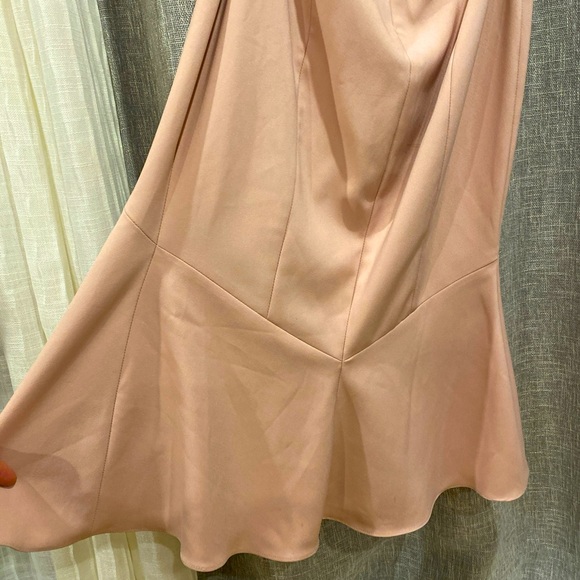 Theia Dress Size 2 Mermaid French Light Pink Trumpet Backless Stretch Formal - Picture 5 of 7